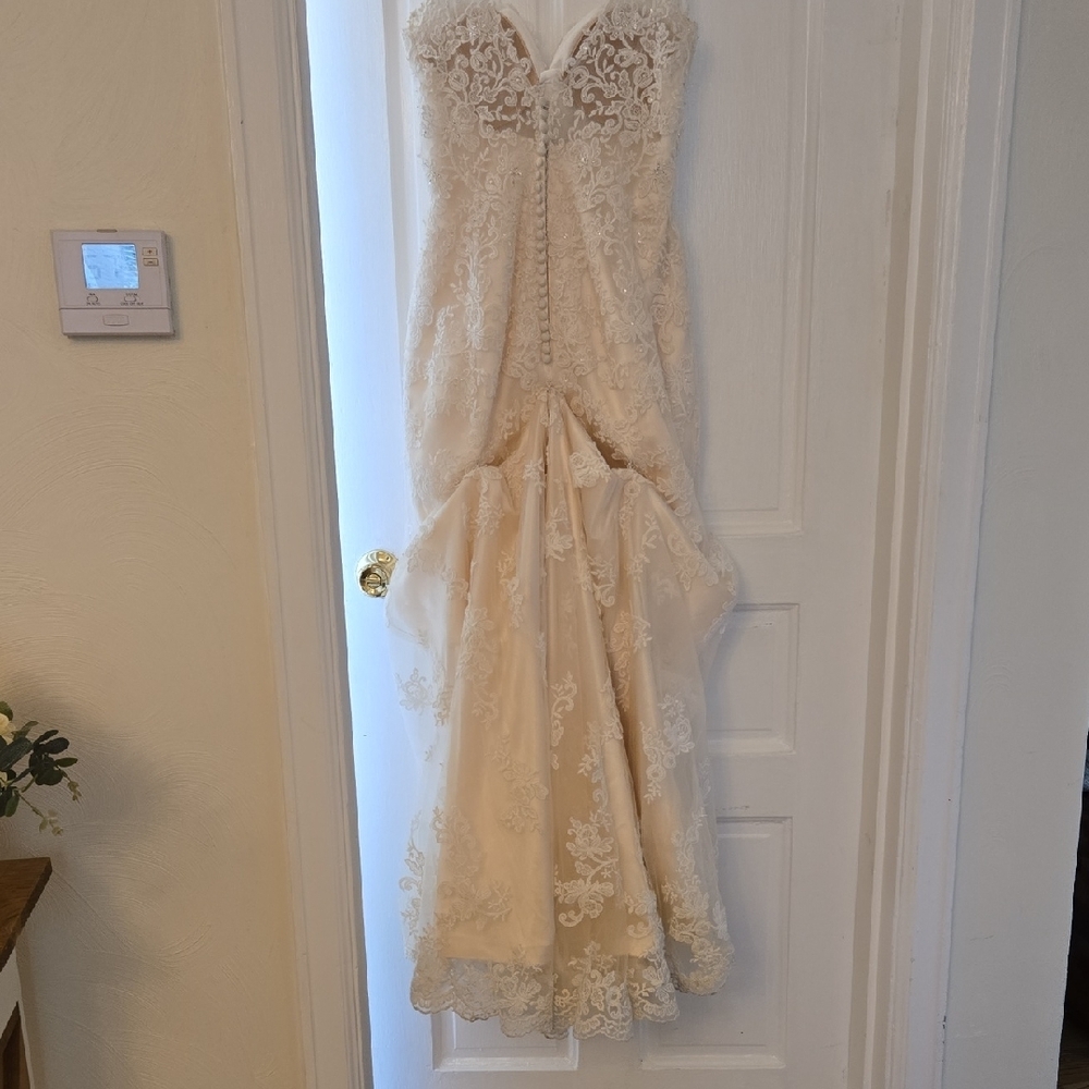 Maggie Sottero Couture Cream Gown - Picture 7 of 9